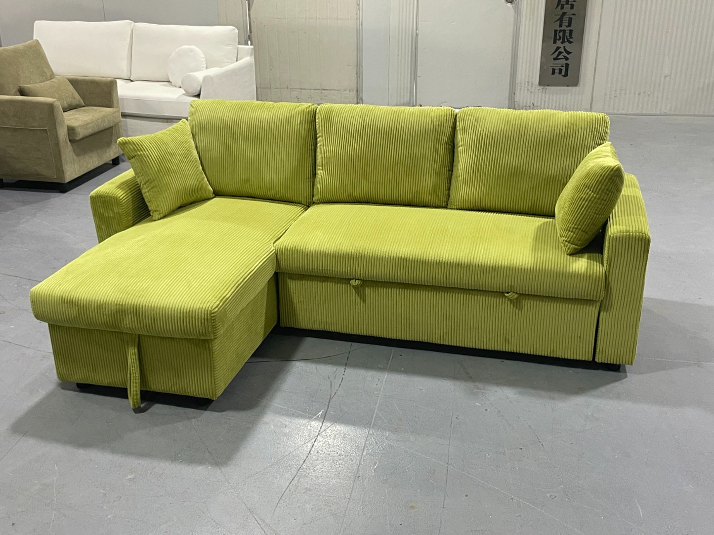 Elio Pull-Out Sectional Sofa Bed